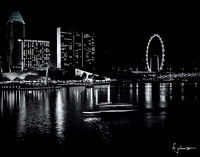 Singapore Monochromes