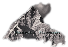 Himalayafan | Photography